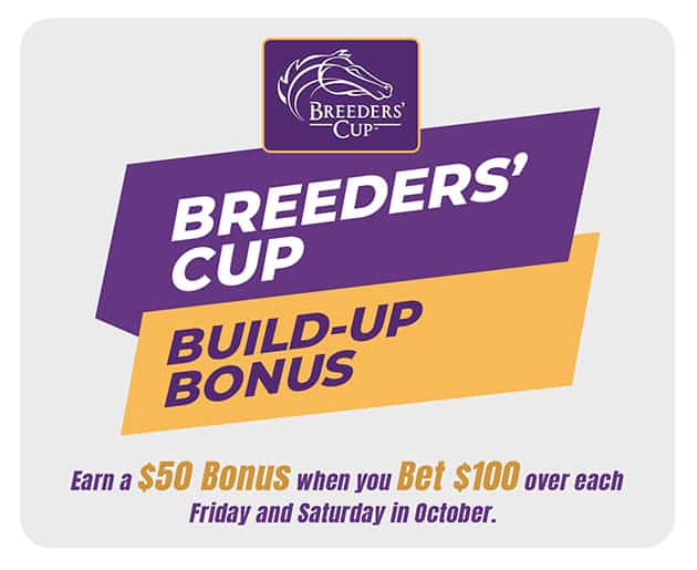 Breeders-Cup-Build-Up